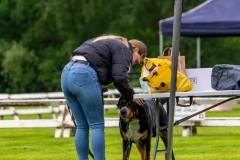 NVAEGZ_Clubmatch2024-12