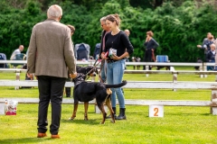 NVAEGZ_Clubmatch2024-252