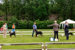 NVAEGZ_Clubmatch2024-472
