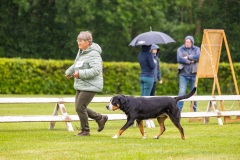 NVAEGZ_web-5342