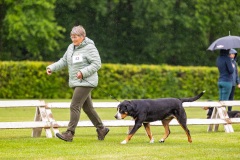 NVAEGZ_web-5343