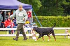 NVAEGZ_web-5347