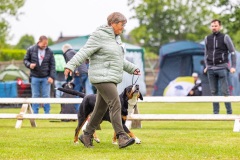 NVAEGZ_web-5359