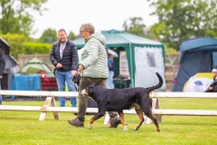 NVAEGZ_web-5364