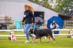 NVAEGZ_web-5366