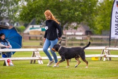 NVAEGZ_web-5378