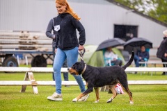NVAEGZ_web-5382