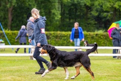 NVAEGZ_web-5386