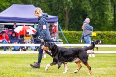 NVAEGZ_web-5387