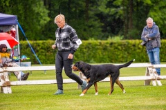 NVAEGZ_web-5399