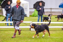 NVAEGZ_web-5416