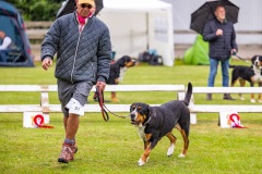 NVAEGZ_web-5417