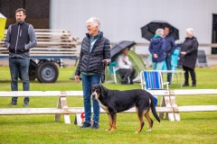 NVAEGZ_web-5431