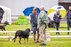 NVAEGZ_web-5433