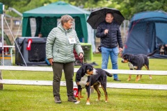 NVAEGZ_web-5435