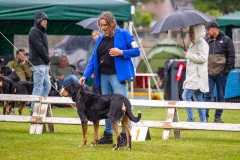NVAEGZ_web-5445