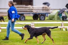 NVAEGZ_web-5457