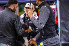 NVAEGZ_web-5459