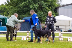 NVAEGZ_web-5486