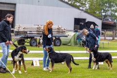 NVAEGZ_web-5496