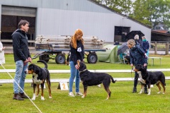 NVAEGZ_web-5497