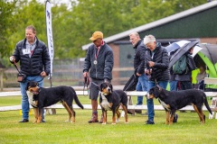 NVAEGZ_web-5520