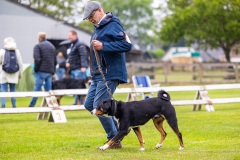 NVAEGZ_web-5544