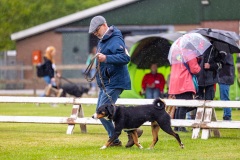 NVAEGZ_web-5545