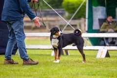 NVAEGZ_web-5559