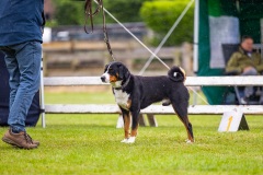 NVAEGZ_web-5561