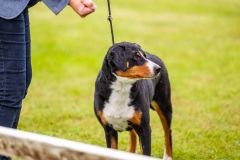 NVAEGZ_web-5615
