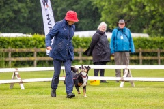 NVAEGZ_web-5621