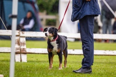 NVAEGZ_web-5628