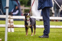 NVAEGZ_web-5629