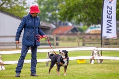 NVAEGZ_web-5636