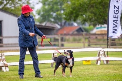 NVAEGZ_web-5637