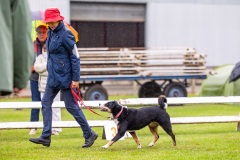 NVAEGZ_web-5638
