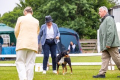 NVAEGZ_web-5646