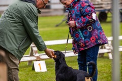 NVAEGZ_web-5682