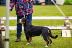 NVAEGZ_web-5686