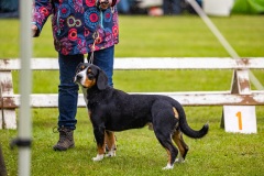 NVAEGZ_web-5687