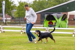NVAEGZ_web-5697