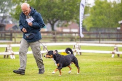 NVAEGZ_web-5723