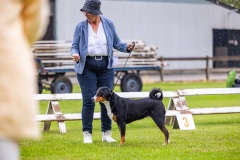 NVAEGZ_web-5831