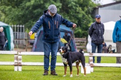 NVAEGZ_web-5833