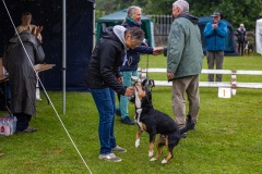 NVAEGZ_web-5895
