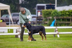 NVAEGZ_web-5906