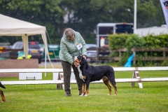NVAEGZ_web-5911