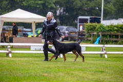 NVAEGZ_web-5925