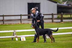 NVAEGZ_web-5971